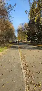 Полет - 33