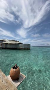 Soneva Fushi - 38