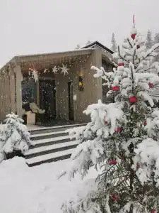 Дача в соснах - 26