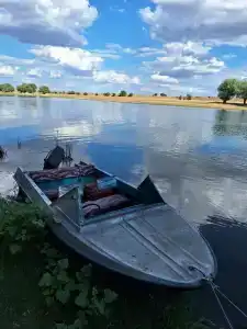 World-Fish - 37