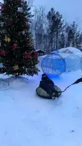 В гостях у Павловича - 38