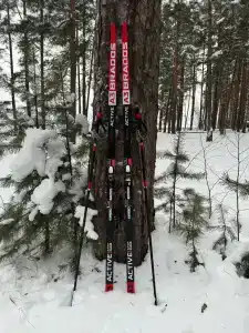 Градуевское - 5