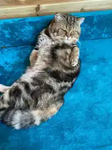 Серёжкино - 15