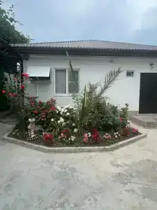 Oasis Eco-House - 48
