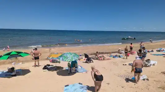 В гостях у Виктора и Ангелины - 21