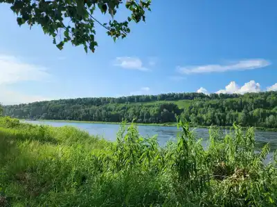 Зель-Диего - 55