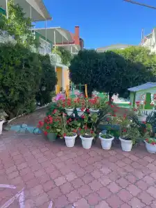 Акварель - 5