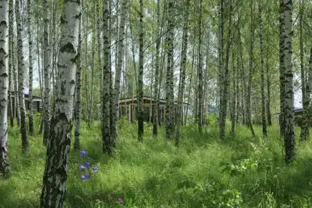 Norke Есенинская Русь - 76