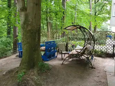 Мечты сбываются - 1