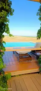 Фридом Веселовка - 27