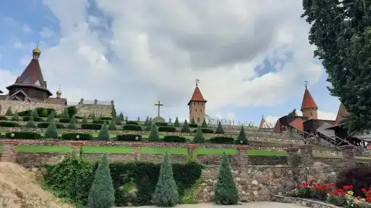 У Светланы - 7