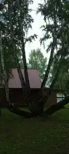 Кристалл - 34