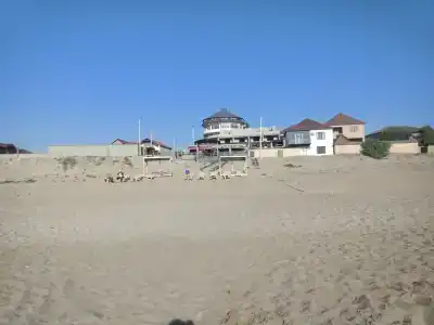 Атлант Экзотик - 96