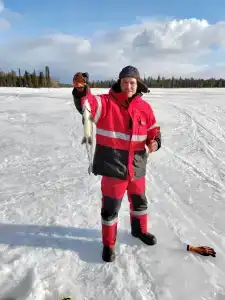 Compass Sosnovaya - 43
