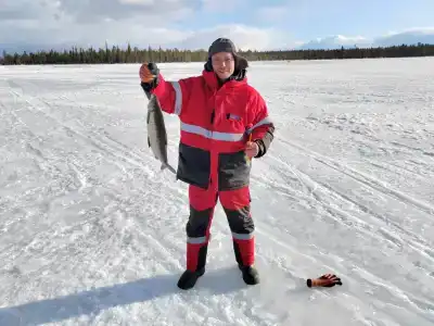 Compass Sosnovaya - 40