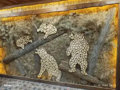 Магия леса - 23