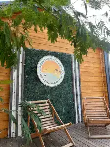 Амбассадор - 87