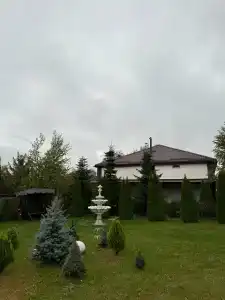Эдельвейс - 9