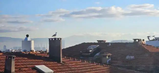 Yeşilyurt Residence - 9