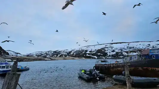 В центре старой Териберки - 61