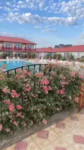 Алые Паруса - 51