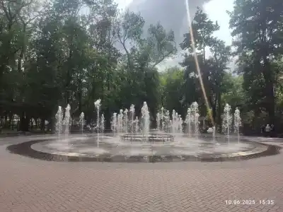 Красный Бор - 54