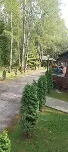 Девино - 47