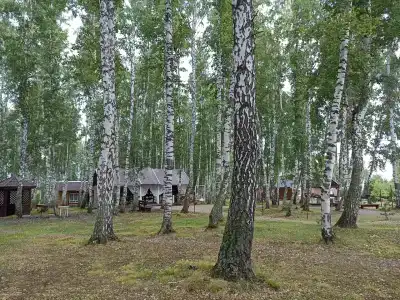 Арчекас - 5