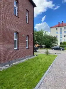 Лемми - 20