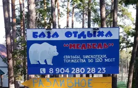 Медведь - 8