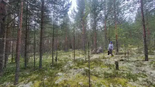 Медвежий угол - 12