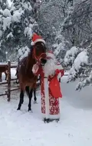 Круиз Вилладж - 39