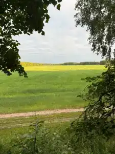 Рассвет - 27