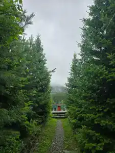 Алтайская сказка - 41