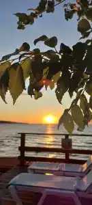 Амбассадор - 46