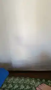 У Лизы - 30