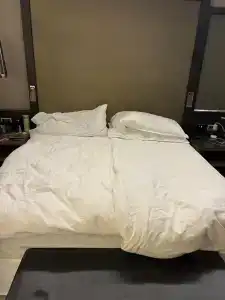 Sheraton Grand Tbilisi Metechi Palace - 27