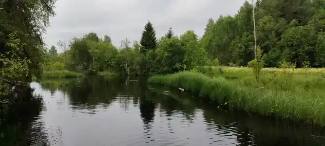 Ковжа - 8