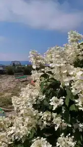 Солнечный ветер - 8