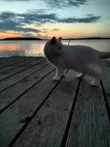 Гостевой дом - 14