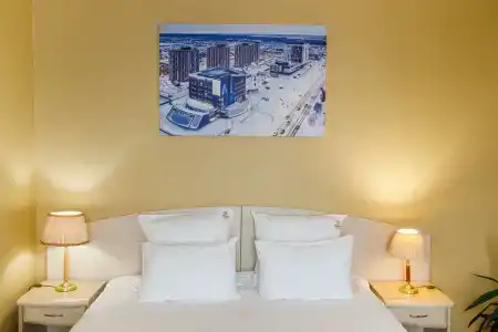 Полярник - 47