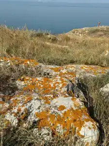 Белый Кролик - 34