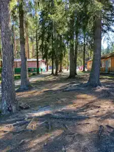 Огонек - 38