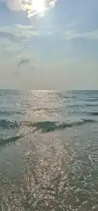 Купава - 15