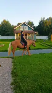 Баглачевские дачи - 5