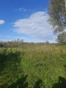 Озеро Уткуль - 25