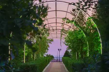 Энергетик - 56