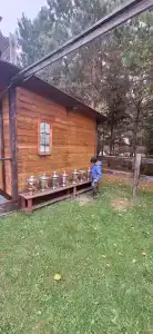 Золотой Полоз - 26