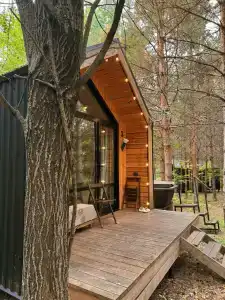 Сосны. Пространствие - 65