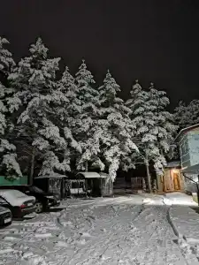 Домовёнок - 4